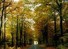 2001.11 DK 02.26 weg met herfstkleuren2.jpg